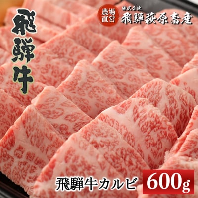 家計応援【期間限定】【冷凍】飛騨牛カルビ 600g　焼き肉 国産 牛肉【22-16g】