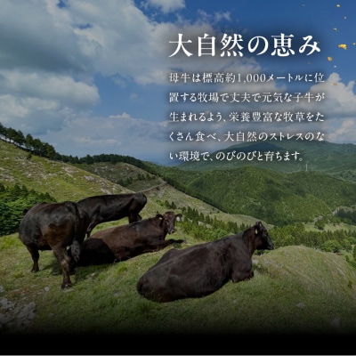 【家計応援 期間限定】【冷凍】飛騨牛カルビ 300g 牛肉 焼肉 焼き肉 下呂温泉【22-3g】