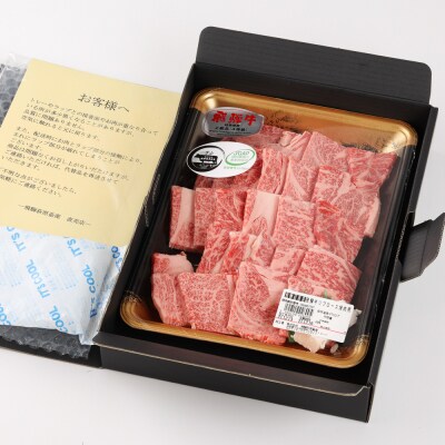 【家計応援 期間限定】【冷凍】飛騨牛リブロース　500g(焼肉用)【22-20(1)g】