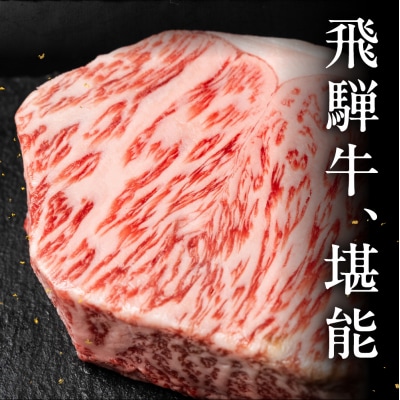 【家計応援 期間限定】飛騨牛 サーロインブロック 500g 牛 牛肉 【冷凍配送】【22-42g】
