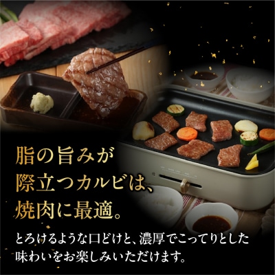 (2026年12月発送)【冷凍】飛騨牛カルビ焼肉 300g【22-3(12)】
