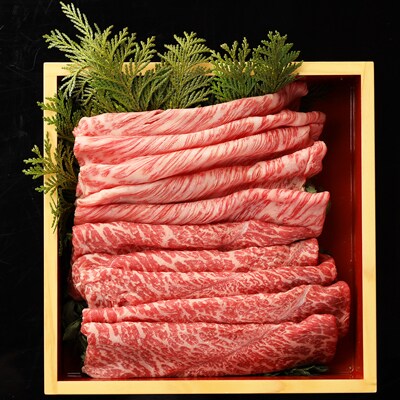 【冷凍】飛騨牛しゃぶしゃぶセット計400g(もも 200g・肩ロース 200g【22-32(1)】