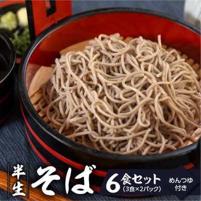 【訳あり】簡易包装 半生そば 3食×2パック めんつゆ付き 6食セット【丸中製麺所】【29-8nt】