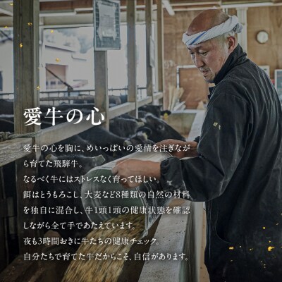 飛騨牛 花盛 焼肉食べ比べセット 500g(5点盛り)約3人前 【冷凍配送】【22-46】