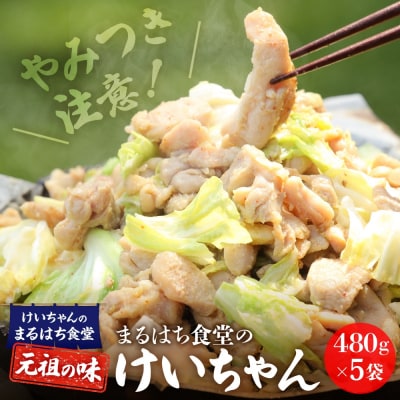 鶏ちゃんの名店「まるはち食堂」けいちゃん 480g×5(約15人前)【48-2】