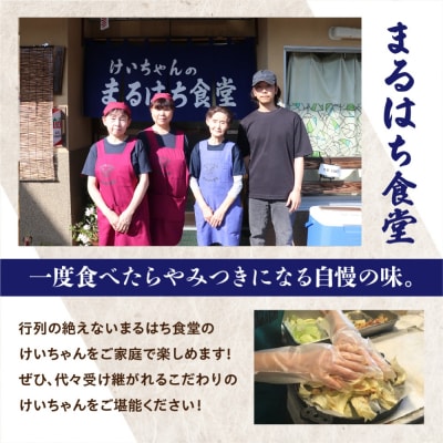 鶏ちゃんの名店「まるはち食堂」けいちゃん 480g×5(約15人前)【48-2】