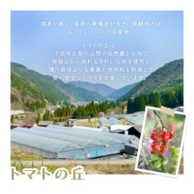 飛騨産 100% 無添加 ミニトマトジュース180ml  4本セット(3)ジュース【113-6】