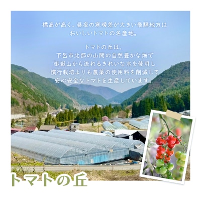 飛騨産 100% 無添加 ミニトマトジュース180ml  4本セット(3)ジュース【113-6】