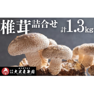  菌床生椎茸  詰め合せセット(4パック+3袋)7品 計1.3kg  生椎茸 しいたけ【119-1】