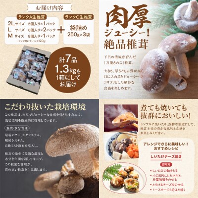  菌床生椎茸  詰め合せセット(4パック+3袋)7品 計1.3kg  生椎茸 しいたけ【119-1】