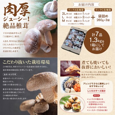  菌床生椎茸  詰め合せセット(4パック+3袋)7品 計1.3kg  生椎茸 しいたけ【119-1】