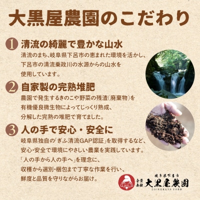  菌床生椎茸  詰め合せセット(4パック+3袋)7品 計1.3kg  生椎茸 しいたけ【119-1】