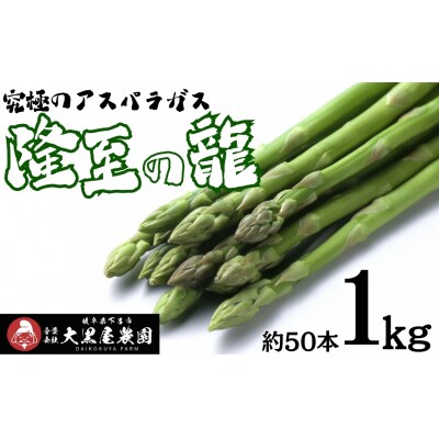 先行受付(2026年5月から順次発送)高級アスパラガス 隆至の龍 1kg 期間限定【119-2】