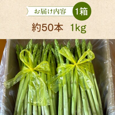 高級アスパラガス 隆至の龍 1kg 期間限定【119-2】