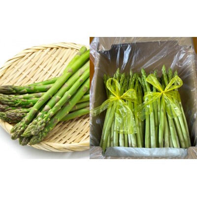 先行受付(2026年5月から順次発送)高級アスパラガス 隆至の龍 1kg 期間限定【119-2】