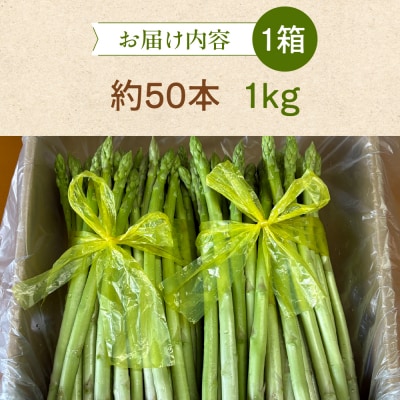先行受付(2026年5月から順次発送)高級アスパラガス 隆至の龍 1kg 期間限定【119-2】