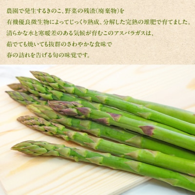 先行受付(2026年5月から順次発送)高級アスパラガス 隆至の龍 1kg 期間限定【119-2】