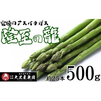 先行受付(2026年5月から順次発送)高級アスパラガス 隆至の龍 500g 期間限定【119-3】