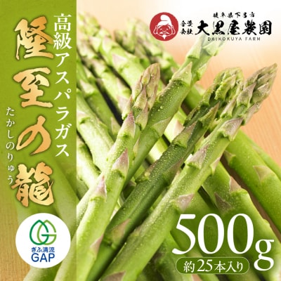 先行受付(2026年5月から順次発送)高級アスパラガス 隆至の龍 500g 期間限定【119-3】