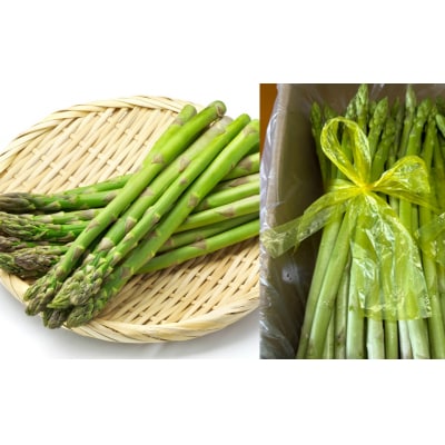 先行受付(2026年5月から順次発送)高級アスパラガス 隆至の龍 500g 期間限定【119-3】