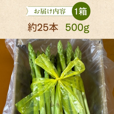 先行受付(2026年5月から順次発送)高級アスパラガス 隆至の龍 500g 期間限定【119-3】