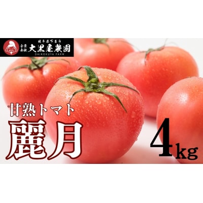 先行受付(2026年7月上旬頃から順次発送)甘塾トマト 麗月 Lサイズ 4kg【119-4】