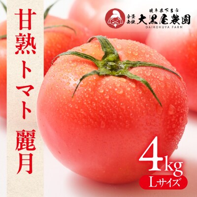 先行受付(2026年7月上旬頃から順次発送)甘熟トマト 麗月 Lサイズ 4kg【119-4】