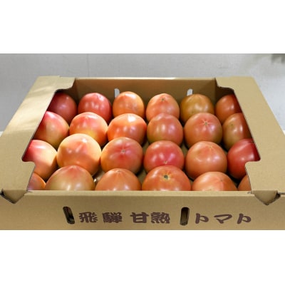 先行受付(2026年7月上旬頃から順次発送)甘塾トマト 麗月 Lサイズ 4kg【119-4】