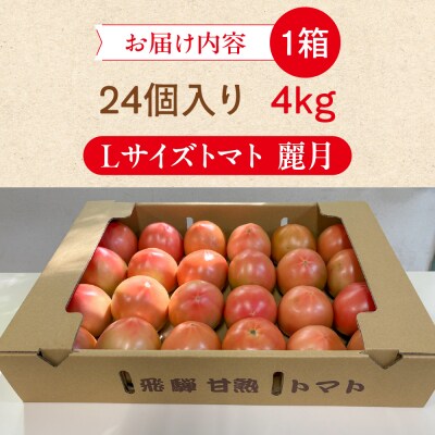 先行受付(2026年7月上旬頃から順次発送)甘熟トマト 麗月 Lサイズ 4kg【119-4】