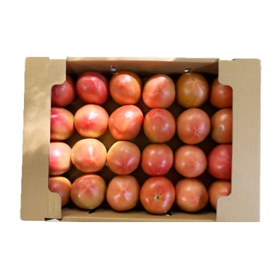 先行受付(2026年7月上旬頃から順次発送)甘塾トマト 麗月 Lサイズ 4kg【119-4】