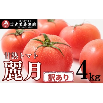 先行受付 訳あり(2026年7月上旬頃から順次発送)甘塾トマト 麗月 4kg以上【119-5】