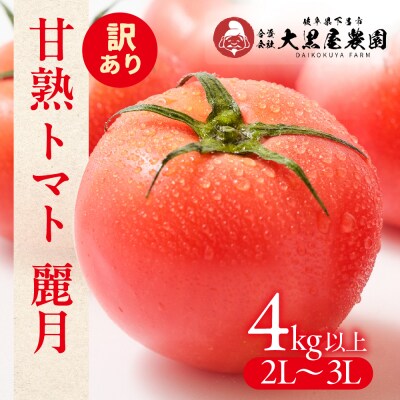 先行受付 訳あり(2026年7月上旬頃から順次発送)甘塾トマト 麗月 4kg以上【119-5】