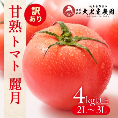 季節限定 訳あり(2026年7月上旬頃から順次発送)甘熟トマト 麗月 4kg以上【119-5】