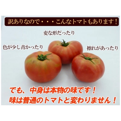 先行受付 訳あり(2026年7月上旬頃から順次発送)甘塾トマト 麗月 4kg以上【119-5】