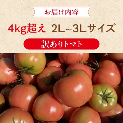 先行受付 訳あり(2026年7月上旬頃から順次発送)甘塾トマト 麗月 4kg以上【119-5】