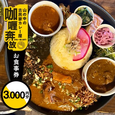 【咖喱奔放】食事券(3,000円分)カレーホンポウ【a035-1】