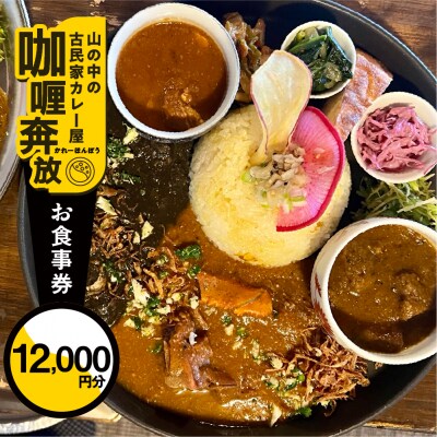 【咖喱奔放】食事券(12,000円分)カレーホンポウ【a035-3】