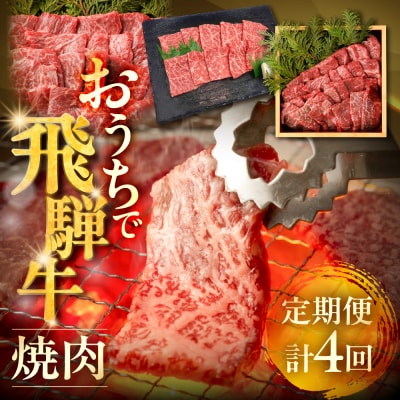 【定期便 4回】下呂の飛騨牛焼肉  定期便 4ヵ月(萩原畜産直売店&菊の井ミート)【tc15】