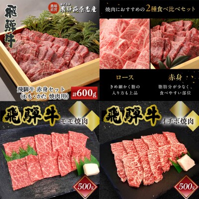 【定期便 4回】下呂の飛騨牛焼肉  定期便 4ヵ月(萩原畜産直売店&菊の井ミート)【tc15】
