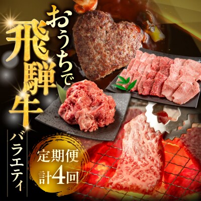 【定期便 4回】飛騨牛バラエティ定期便 4ヵ月 焼肉 もも ハンバーグ【tc17】