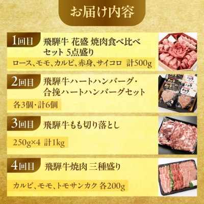 【定期便 4回】飛騨牛バラエティ定期便 4ヵ月 焼肉 もも ハンバーグ【tc17】