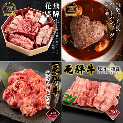 【定期便 4回】飛騨牛バラエティ定期便 4ヵ月 焼肉 もも ハンバーグ【tc17】