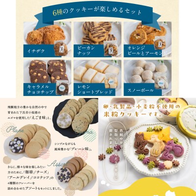 【定期便 3回】下呂のおすすめクッキー 3ヵ月 焼菓子【tc13】