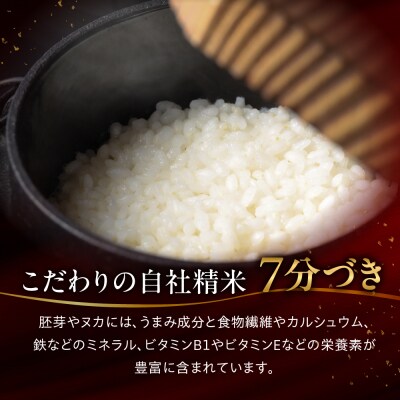 【2025年産米】【定期便】2kg×3回 飛騨産・龍の瞳【14-72】