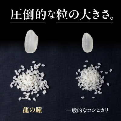 【2025年産米】【定期便】3kg×3回 飛騨産・龍の瞳【14-73】