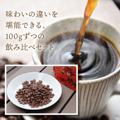 緑の館 珈琲豆 オリジナルブレンド 100g×3種セット【17-128】