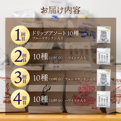 【定期便 4回】ドリップバックコーヒー 飲み比べ アソートセット【17-F】