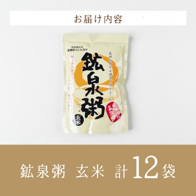 鉱泉粥12食セット 鉱泉粥玄米×12袋(1袋260g入)【91-6】