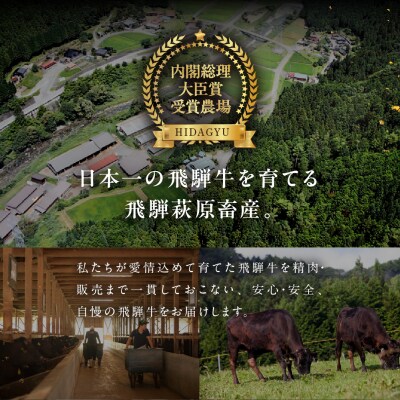 【遅れてごめんね 父の日】飛騨牛 花盛 焼肉食べ比べセット 500g(5点盛り)【22-46fo】