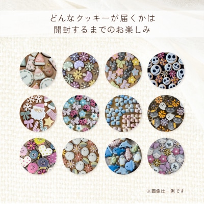 【2026年7月発送】季節のアイシングクッキー (75～80g×2セット)【116-9【7】】